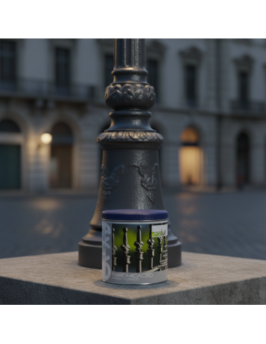 Ecolux Smalto Ferromicaceo Antichizzante Acrilico Grigio Scuro 8010