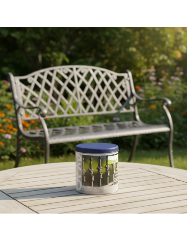 Ecolux Smalto Ferromicaceo Antichizzante Acrilico Grigio Medio 8011