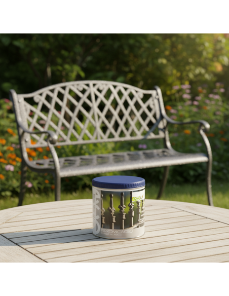 Ecolux Smalto Ferromicaceo Antichizzante Acrilico Grigio Medio 8011