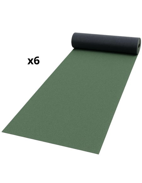 Guaina Ardesiata Verde CASASCIUTTA Impermeabilizzazione Terrazze 6 Rotoli 1x10 m