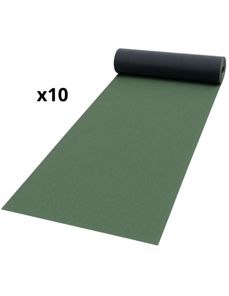 Guaina Ardesiata Verde CASASCIUTTA Impermeabilizzazione Terrazze 10 Rotoli 1x10 m