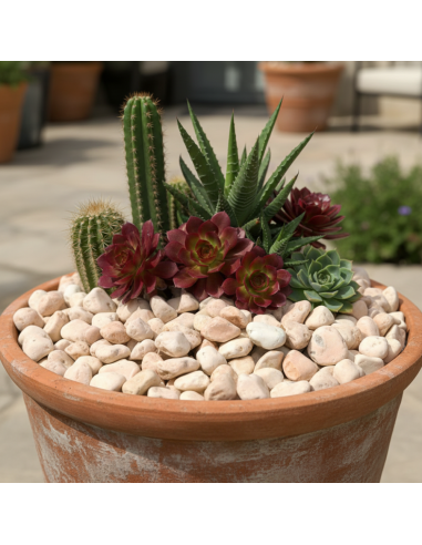Ciottolo In Marmo Rosa Corallo Per Decorazioni Esterne