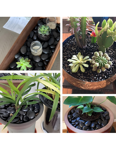 Ciottoli Nero Ebano Effetto Bagnato Brillante Con CIR TONO PLUS Protettivo