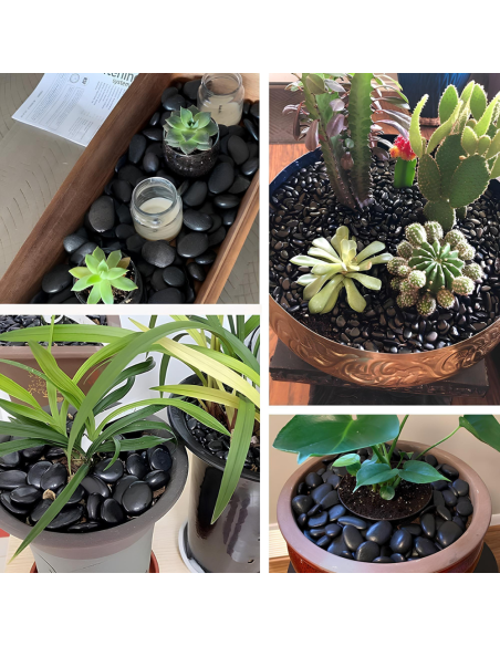 Ciottoli Nero Ebano Effetto Bagnato Brillante Con CIR TONO PLUS Protettivo