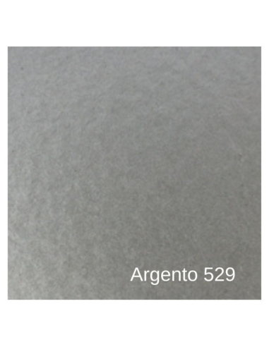 Smalto Sintetico Marino Lucido Per Legno E Ferro Argento 529