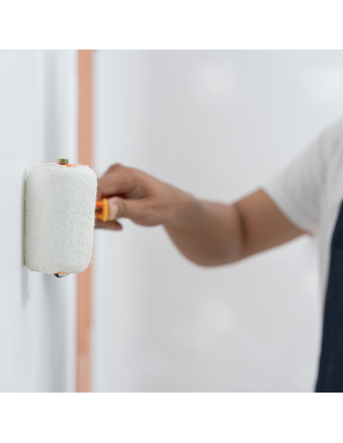 Isoltherm Fissativo Murale Termoisolante Anticondensa Isolante Aggrappante Italia ColorPaint - foto 3