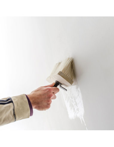 Isoltherm Fissativo Murale Termoisolante Anticondensa Isolante Aggrappante Italia ColorPaint - foto 4