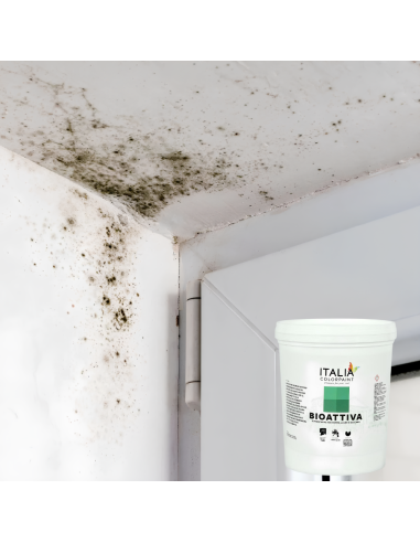 Risanamento Pareti Sanificante Bonificante Muffa Spore Alghe Muschi Bioattiva
