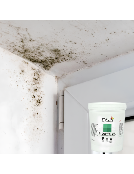 Risanamento Pareti Sanificante Bonificante Muffa Spore Alghe Muschi Bioattiva