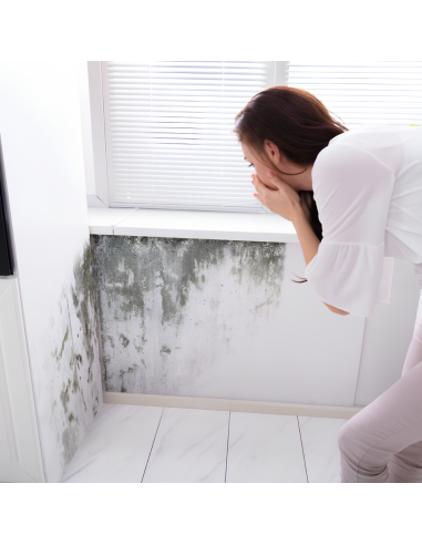 Risanamento Pareti Sanificante Bonificante Muffa Spore Alghe Muschi Bioattiva