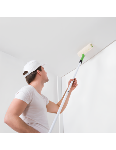 Risanamento Pareti Sanificante Bonificante Muffa Spore Alghe Muschi Bioattiva