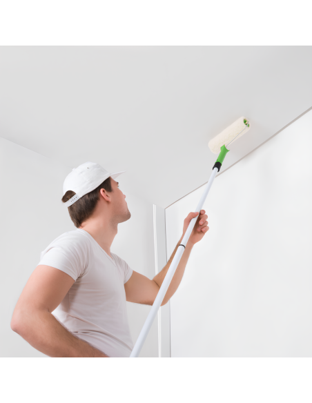 Risanamento Pareti Sanificante Bonificante Muffa Spore Alghe Muschi Bioattiva