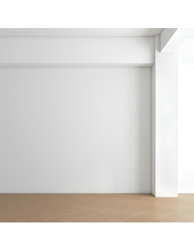 Risanamento Pareti Sanificante Bonificante Muffa Spore Alghe Muschi Bioattiva