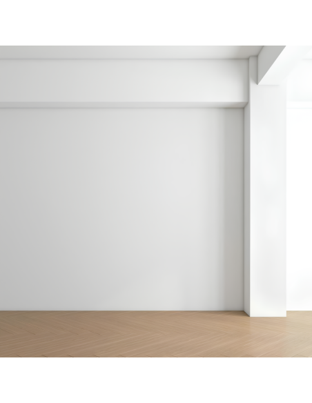 Risanamento Pareti Sanificante Bonificante Muffa Spore Alghe Muschi Bioattiva