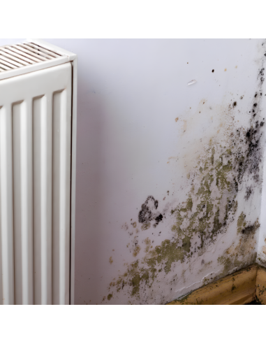 Fissativo Bonificante Sanificante Biofix Barriera Protettiva Antimuffa Antialga 