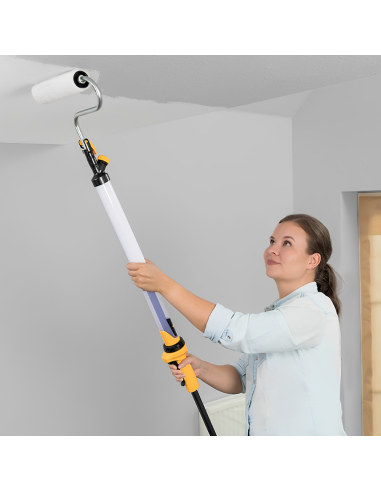 Fissativo Bonificante Sanificante Biofix Barriera Protettiva Antimuffa Antialga 