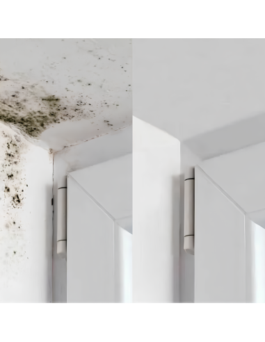 Fissativo Bonificante Sanificante Biofix Barriera Protettiva Antimuffa Antialga 