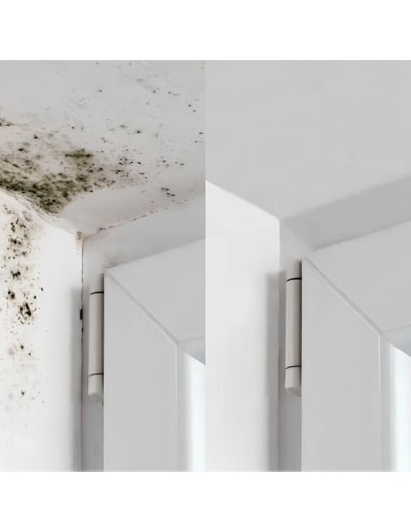 Fissativo Bonificante Sanificante Biofix Barriera Protettiva Antimuffa Antialga 