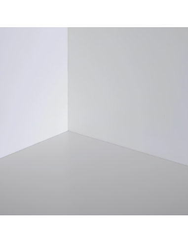 Fissativo Bonificante Sanificante Biofix Barriera Protettiva Antimuffa Antialga 