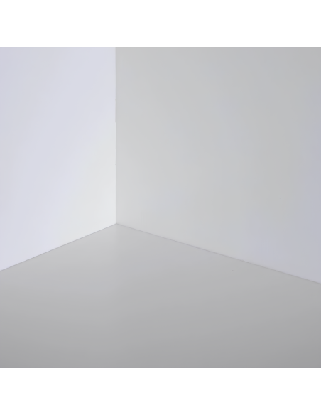 Fissativo Bonificante Sanificante Biofix Barriera Protettiva Antimuffa Antialga 