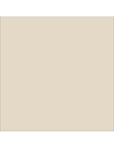 Smalto Sintetico Marino Lucido Per Legno E Ferro Bianco Perla 526 Ral 1013 DURIPLASTIC - foto 2