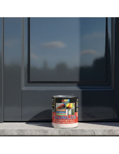 Smalto Sintetico Marino Lucido Per Legno E Ferro Antracite 530 Ral 7021