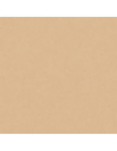 Smalto Acrilico Multiuso Brillante RAL 1001 Beige 400 Ml