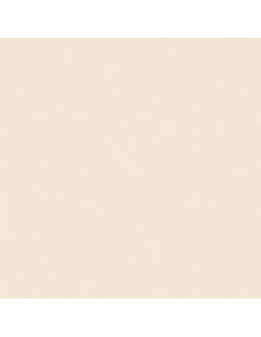 Smalto Acrilico Brillante Multiuso RAL 1013 Bianco Perla 400 ml 