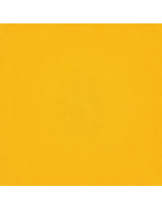 Smalto Acrilico Brillante Multiuso RAL 1004 Giallo Oro 400 ml 2