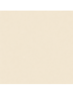 Smalto Acrilico Brillante Multiuso RAL 1015 Avorio Chiaro 400 ml 2