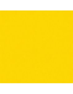 Smalto Acrilico Multiuso RAL 1021 Giallo Cadmio Spray 400 ml 2