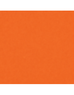 Smalto Acrilico Multiuso RAL 2003 Arancio Pastello Spray 400 ml 2