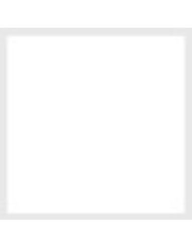 Durilux Smalto Sintetico Lucido Rapida Essiccazione Colore Bianco 500 Ral 9010