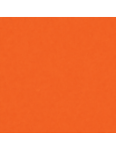 Smalto Acrilico Multiuso RAL 2009 Arancio Traffico Spray 400 ml 2