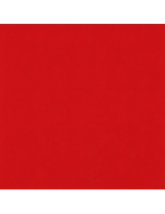 Smalto Acrilico Multiuso RAL 3001 Rosso Segnale Spray 400 ml 2