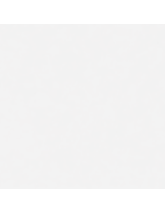 Vernice Spray Alte Temperature Bianco 400 ml 2