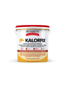KALORFIX Fissativo Termico Specifico Per Pareti E Soffitti Freddi E Umidi