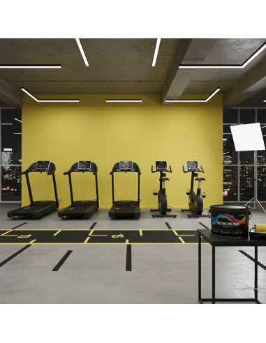 Pittura Murale Prestige Gym Paint Per Palestre Lavabile Coprente Giallo Limone