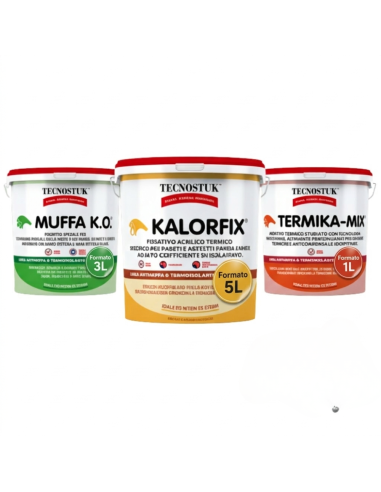 KIT Professionale Antimuffa Tecnostuk Per Muffa Poco Radicata 