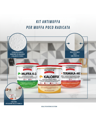KIT Professionale Antimuffa Tecnostuk Per Muffa Poco Radicata 