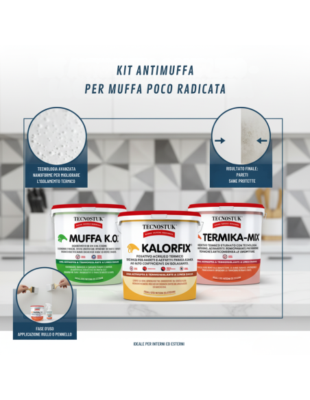 KIT Professionale Antimuffa Tecnostuk Per Muffa Poco Radicata 
