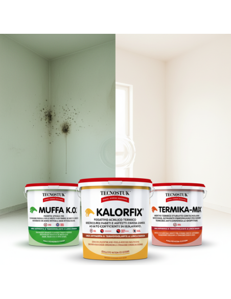 KIT Professionale Antimuffa Tecnostuk Per Muffa Poco Radicata 