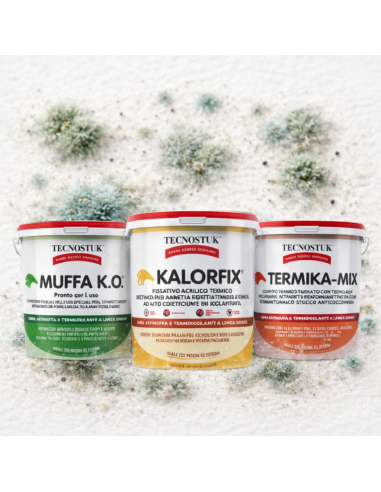 KIT Professionale Antimuffa Tecnostuk Per Muffa Poco Radicata 