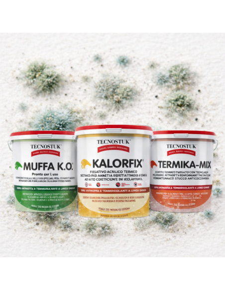 KIT Professionale Antimuffa Tecnostuk Per Muffa Poco Radicata 