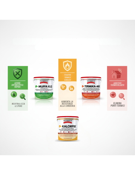 KIT Professionale Antimuffa Tecnostuk Per Muffa Poco Radicata 