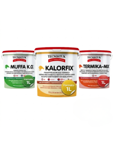 KIT Professionale Antimuffa Tecnostuk Per Muffa Poco Radicata 