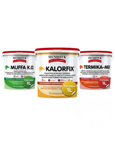 KIT Professionale Antimuffa Tecnostuk Per Muffa Poco Radicata 