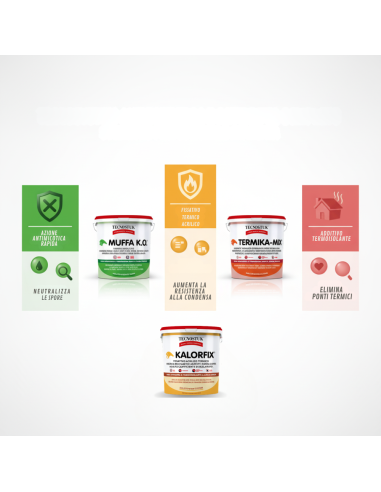 KIT Professionale Antimuffa Tecnostuk Per Muffa Poco Radicata 