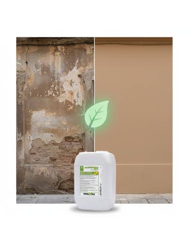 Kerakoll RASOBUILD ECO Fissativo Consolidamento Intonaci Vecchi e Friabili 5 Kg