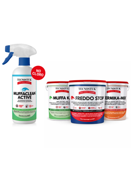 KIT Professionale Antimuffa Tecnostuk Per Muffa Molto Radicata Ed Estesa
